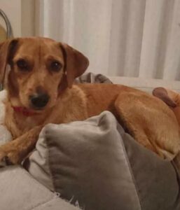 img 20200629 wa0004(1)